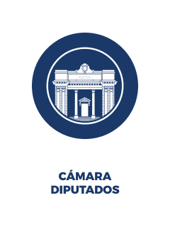 CÁMARA DE DIPUTADOS Y DIPUTADAS
